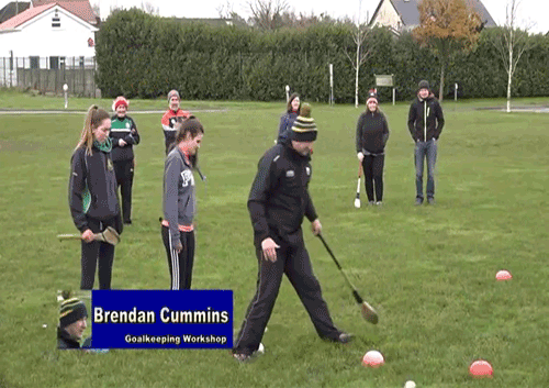 brendan cummins goalkeeping workshop